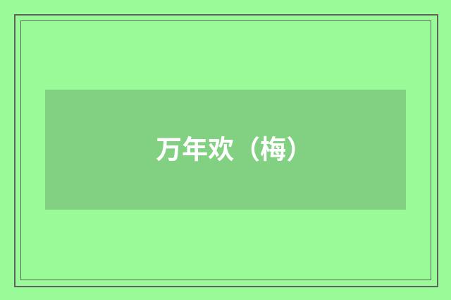 万年欢（梅）