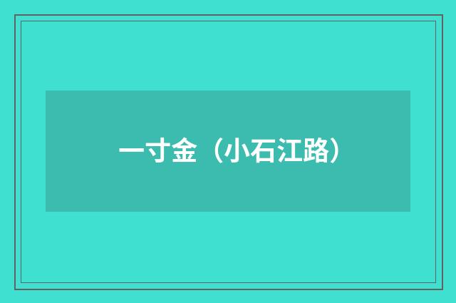 一寸金（小石江路）