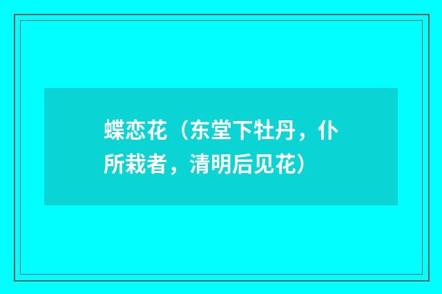 蝶恋花（东堂下牡丹，仆所栽者，清明后见花）