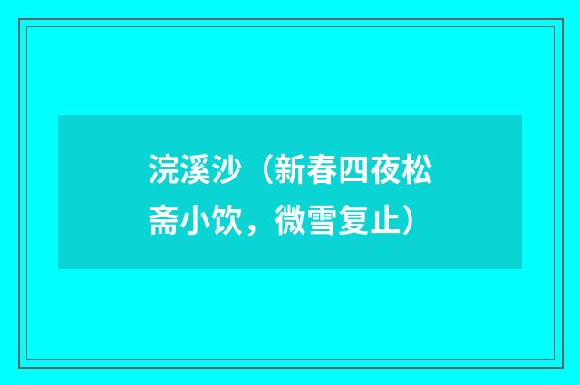 浣溪沙（新春四夜松斋小饮，微雪复止）