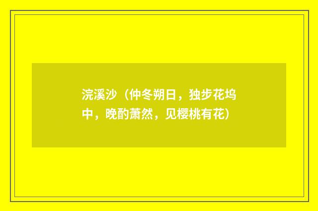 浣溪沙（仲冬朔日，独步花坞中，晚酌萧然，见樱桃有花）