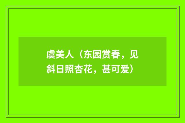 虞美人（东园赏春，见斜日照杏花，甚可爱）