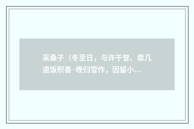 采桑子（冬至日，与许干誉、章几道饭积善·晚归雪作，因留小饮作）