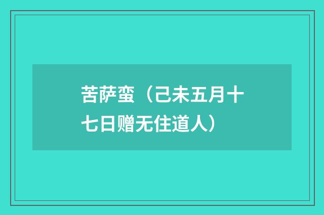 苦萨蛮（己未五月十七日赠无住道人）