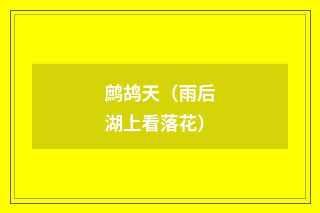 鹧鸪天（雨后湖上看落花）