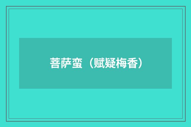 菩萨蛮（赋疑梅香）