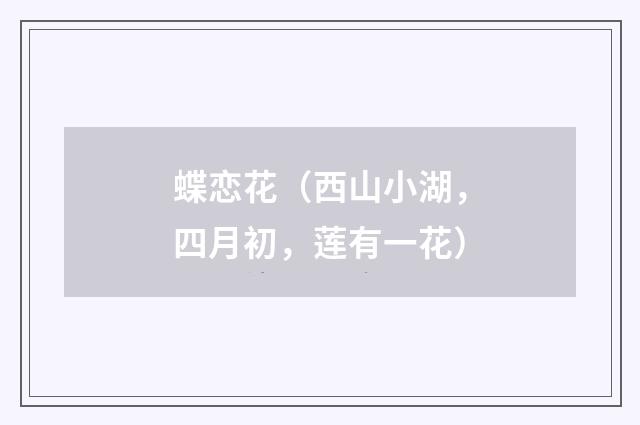 蝶恋花（西山小湖，四月初，莲有一花）