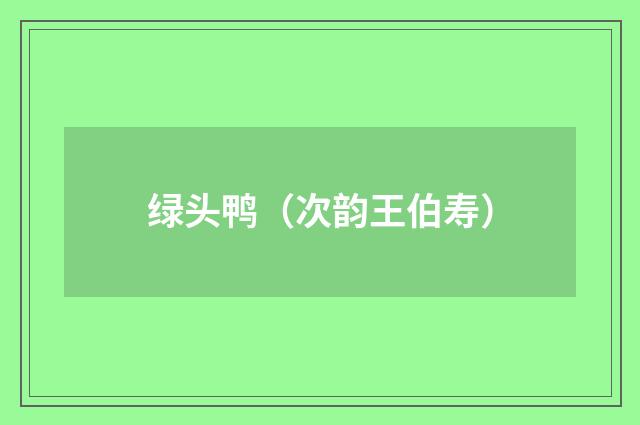 绿头鸭（次韵王伯寿）