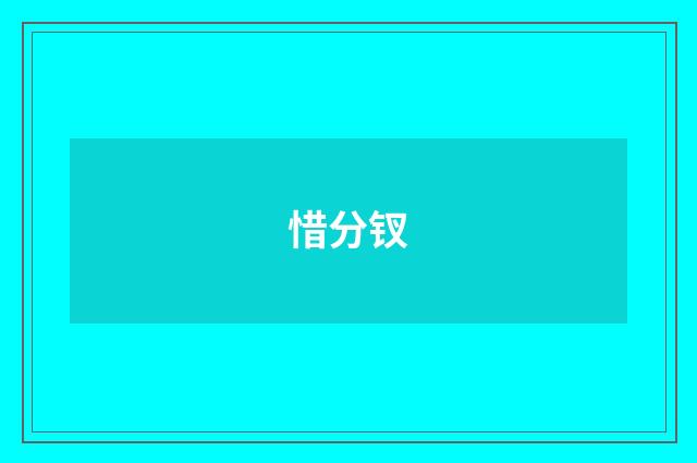 惜分钗
