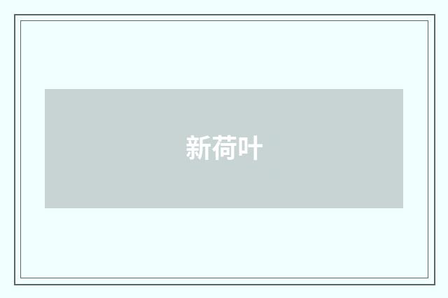 新荷叶