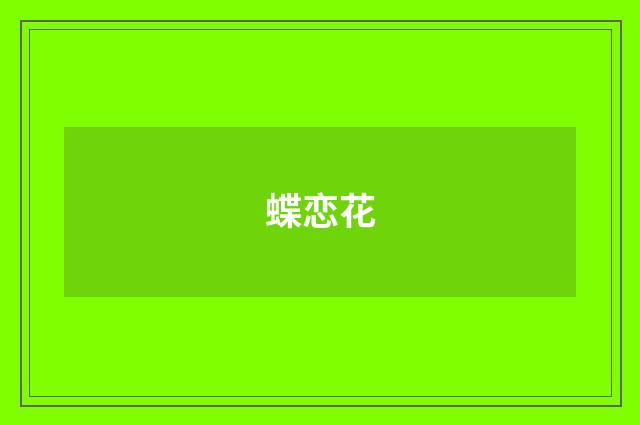 蝶恋花