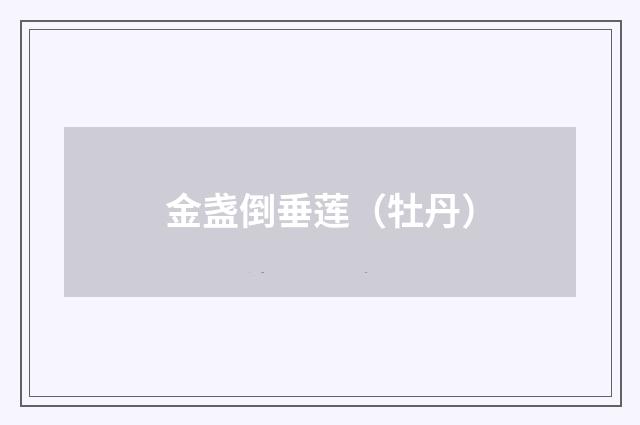 金盏倒垂莲（牡丹）