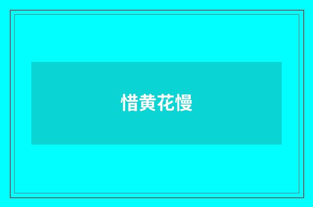 惜黄花慢