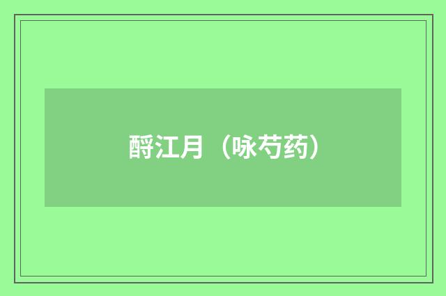 酹江月（咏芍药）
