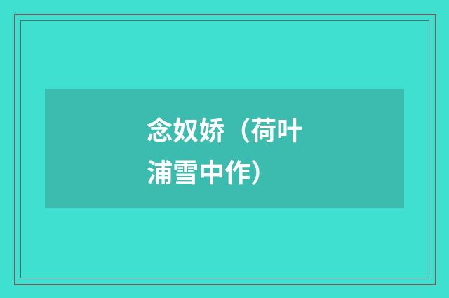 念奴娇（荷叶浦雪中作）