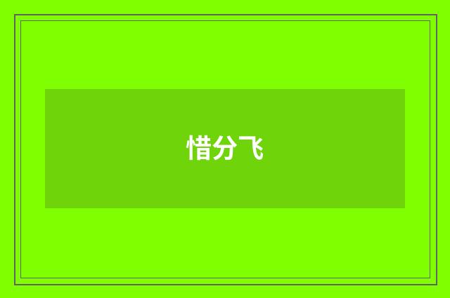 惜分飞