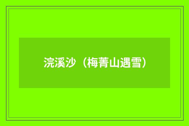 浣溪沙（梅菁山遇雪）