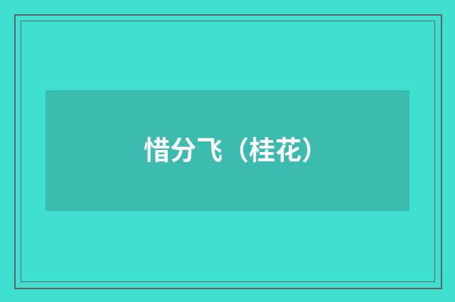 惜分飞（桂花）