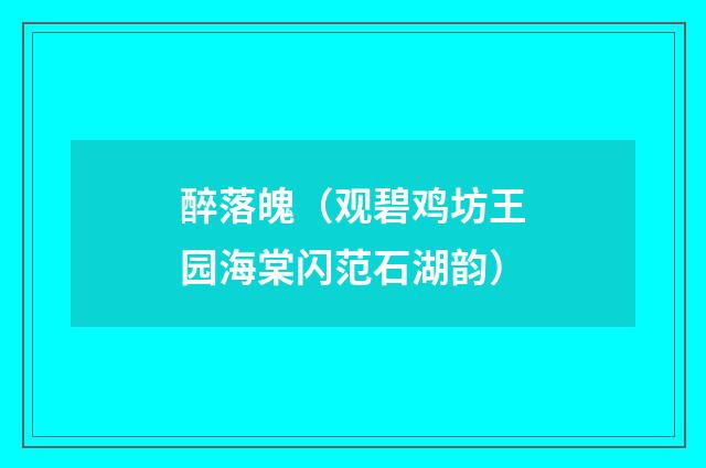 醉落魄（观碧鸡坊王园海棠闪范石湖韵）