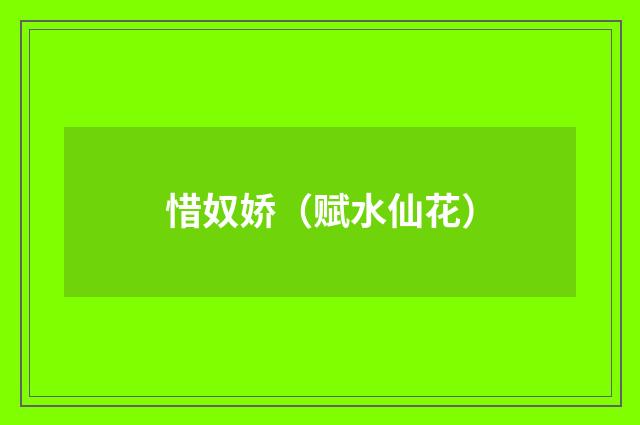 惜奴娇（赋水仙花）