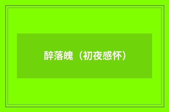 醉落魄（初夜感怀）