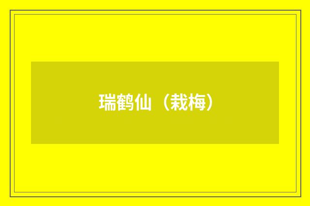 瑞鹤仙（栽梅）