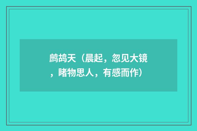 鹧鸪天（晨起，忽见大镜，睹物思人，有感而作）
