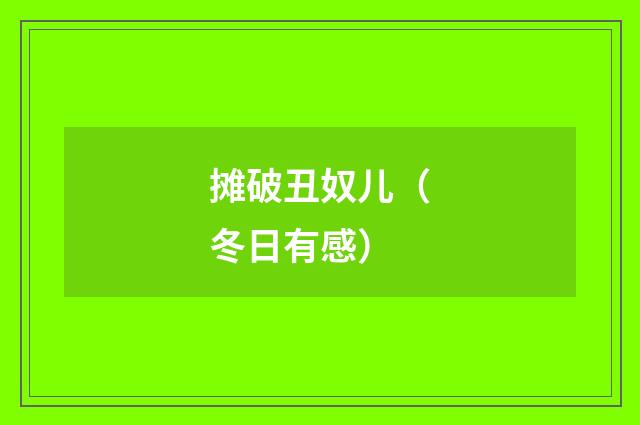 摊破丑奴儿（冬日有感）