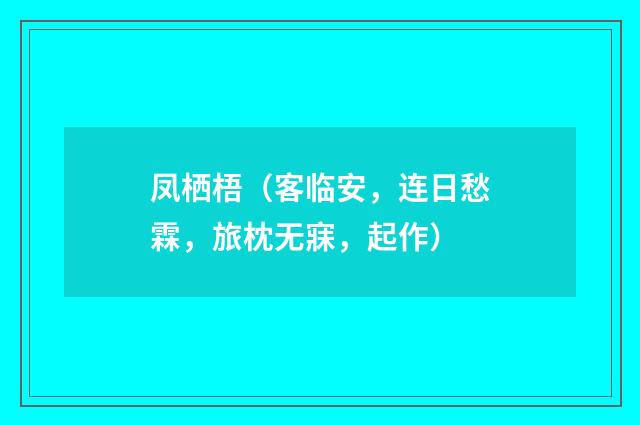 凤栖梧（客临安，连日愁霖，旅枕无寐，起作）