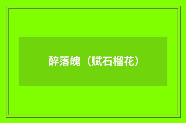 醉落魄（赋石榴花）