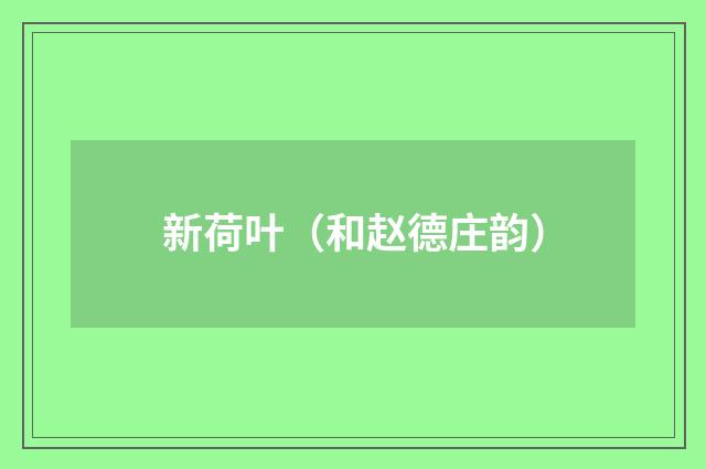 新荷叶（和赵德庄韵）