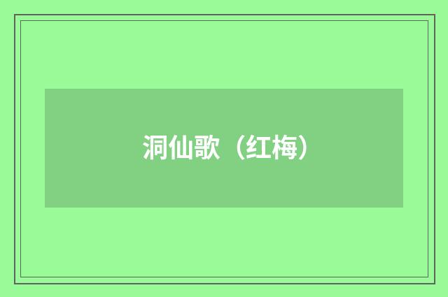 洞仙歌（红梅）