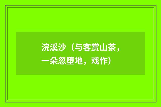 浣溪沙（与客赏山茶，一朵忽堕地，戏作）