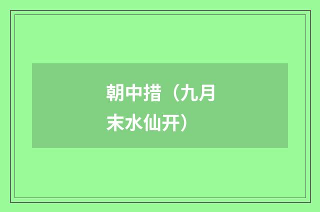 朝中措（九月末水仙开）