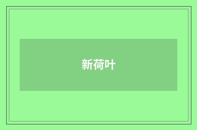 新荷叶