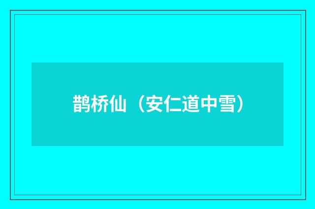鹊桥仙（安仁道中雪）
