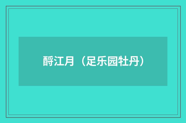酹江月（足乐园牡丹）