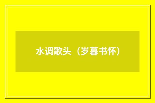 水调歌头（岁暮书怀）