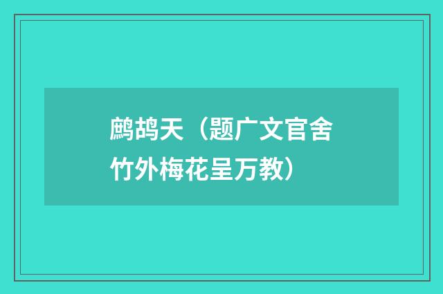 鹧鸪天（题广文官舍竹外梅花呈万教）