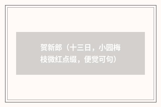 贺新郎（十三日，小园梅枝微红点缀，便觉可句）