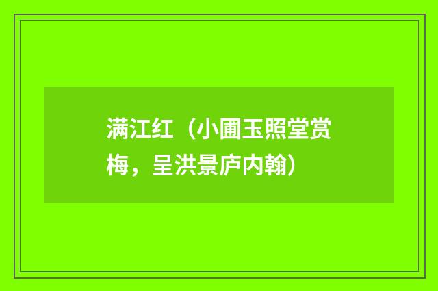 满江红（小圃玉照堂赏梅，呈洪景庐内翰）