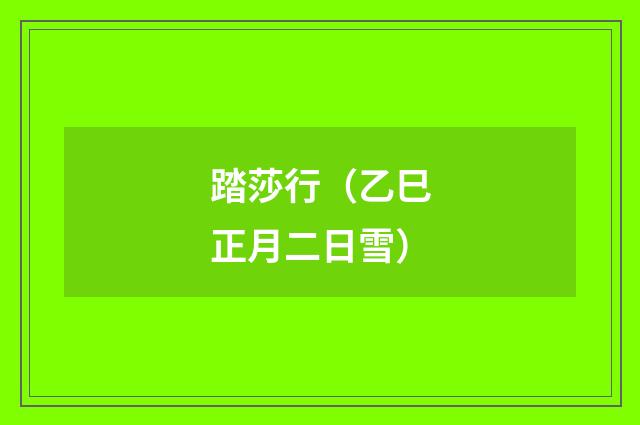 踏莎行（乙巳正月二日雪）