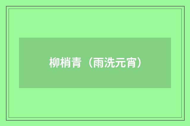 柳梢青（雨洗元宵）