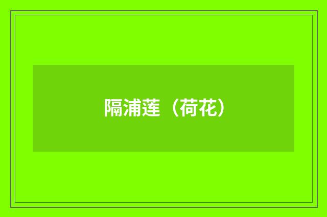 隔浦莲（荷花）
