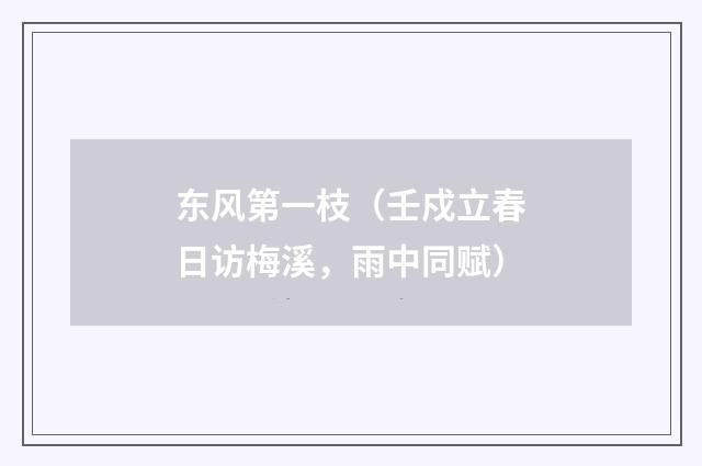 东风第一枝（壬戍立春日访梅溪，雨中同赋）