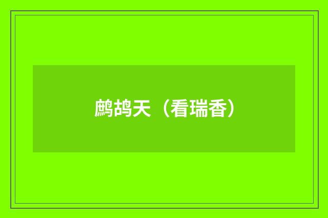 鹧鸪天（看瑞香）