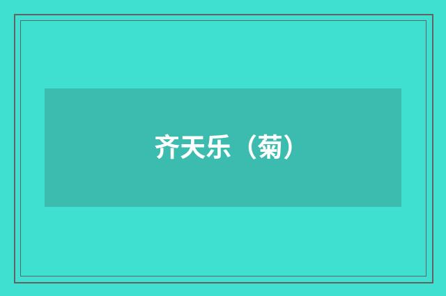 齐天乐（菊）