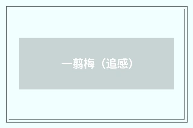 一翦梅（追感）