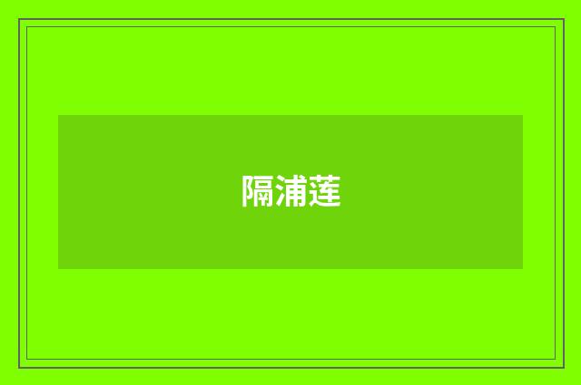 隔浦莲