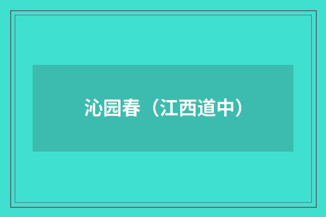 沁园春（江西道中）